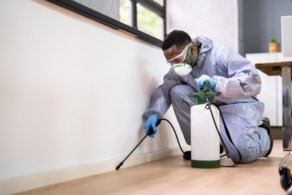 Digital Marketing for Pest Control Companies