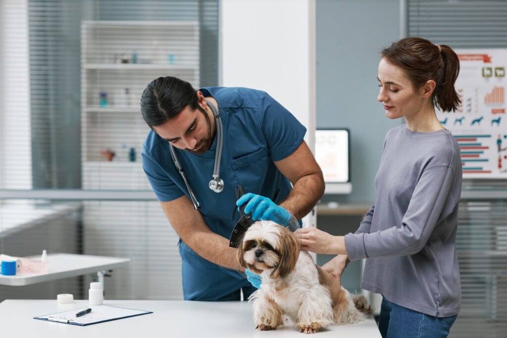Digital Marketing for Veterinary Clinics